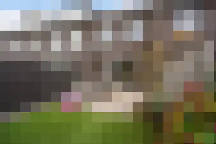 Hoornsemeer 29 Zoetermeer thumbnail 22