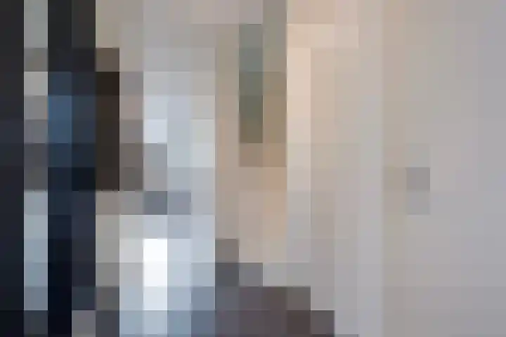 Hoornsemeer 29 Zoetermeer thumbnail 23