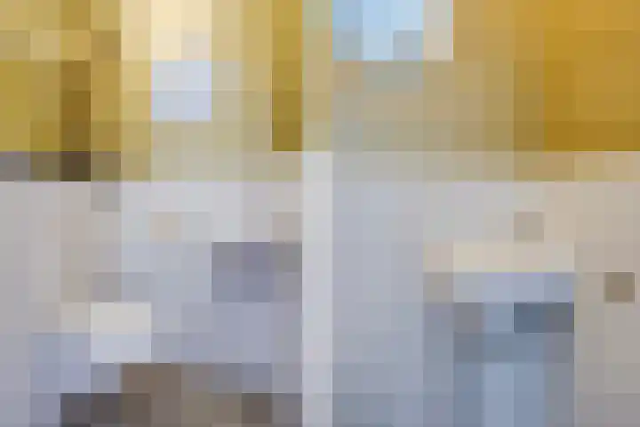 Hoornsemeer 29 Zoetermeer thumbnail 24