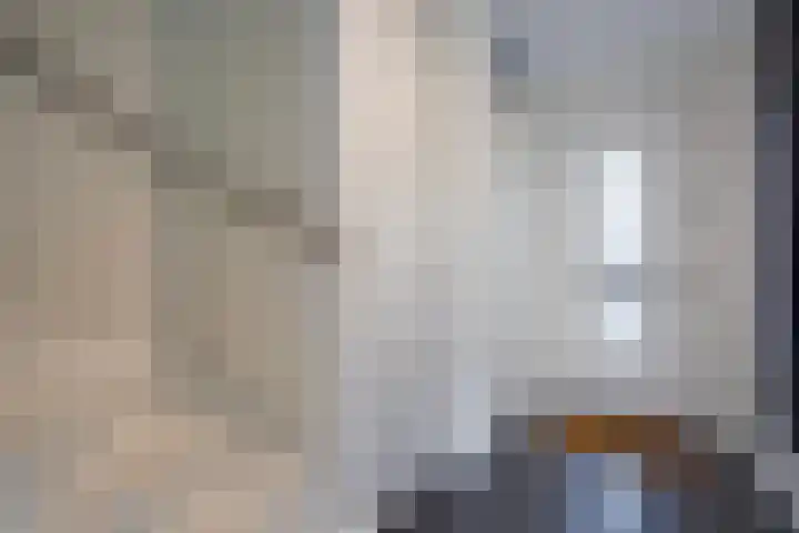 Hoornsemeer 29 Zoetermeer thumbnail 25