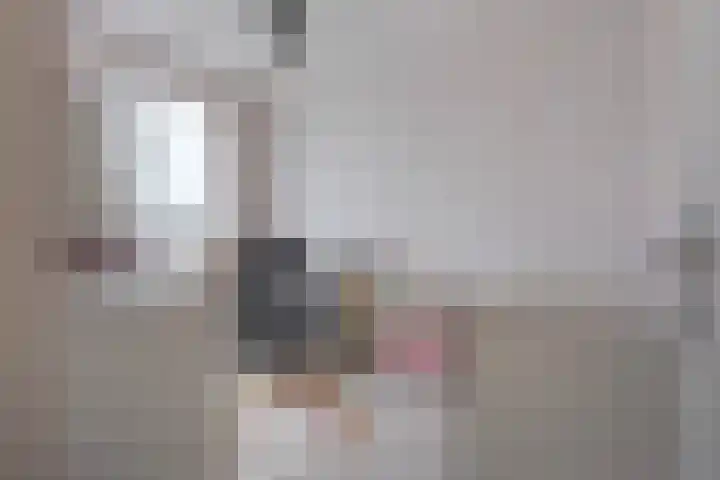Hoornsemeer 29 Zoetermeer thumbnail 31