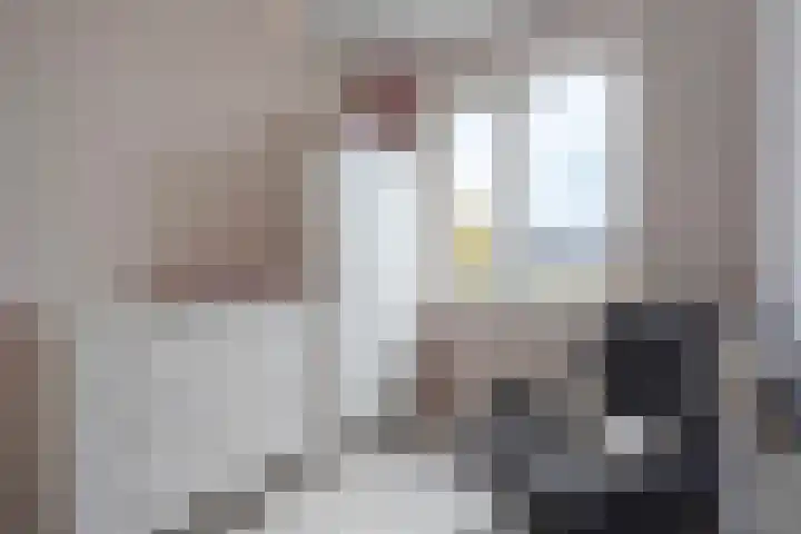 Hoornsemeer 29 Zoetermeer thumbnail 32