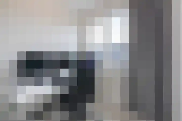 Hoornsemeer 29 Zoetermeer thumbnail 33