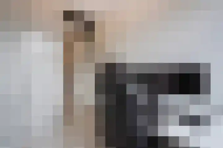 Hoornsemeer 29 Zoetermeer thumbnail 34