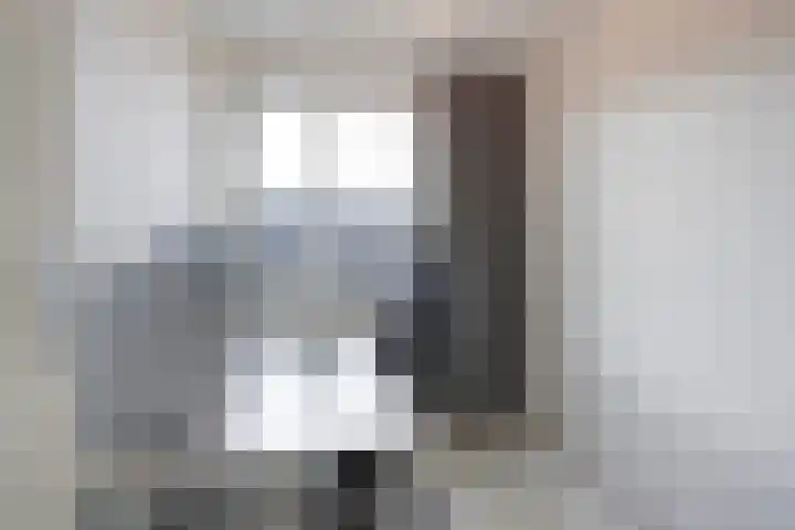 Hoornsemeer 29 Zoetermeer thumbnail 35
