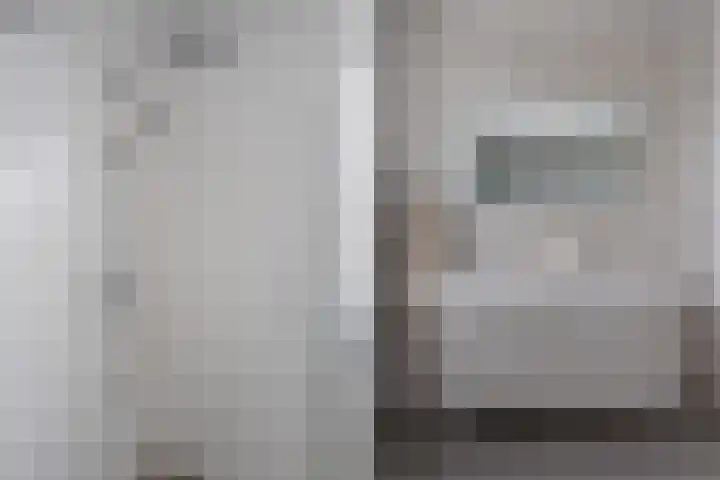 Hoornsemeer 29 Zoetermeer thumbnail 39