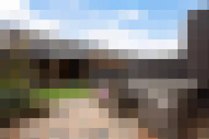 Hoornsemeer 29 Zoetermeer thumbnail 4