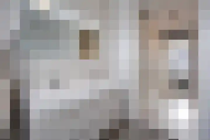 Hoornsemeer 29 Zoetermeer thumbnail 40