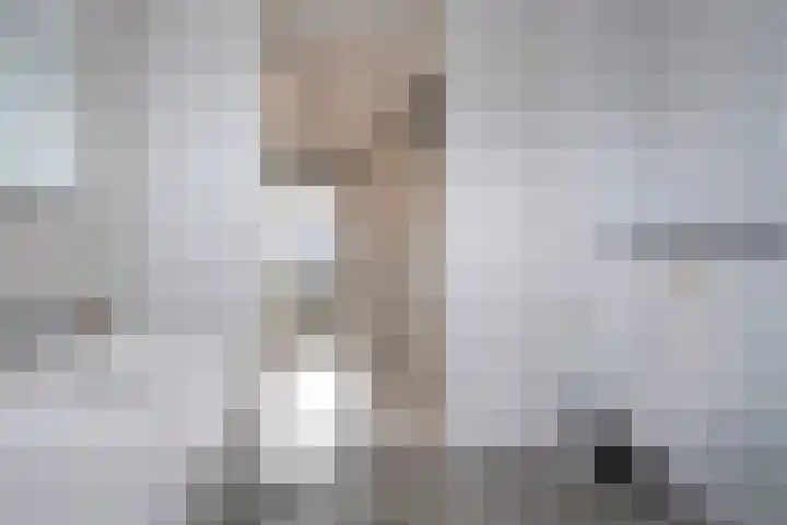 Hoornsemeer 29 Zoetermeer thumbnail 41