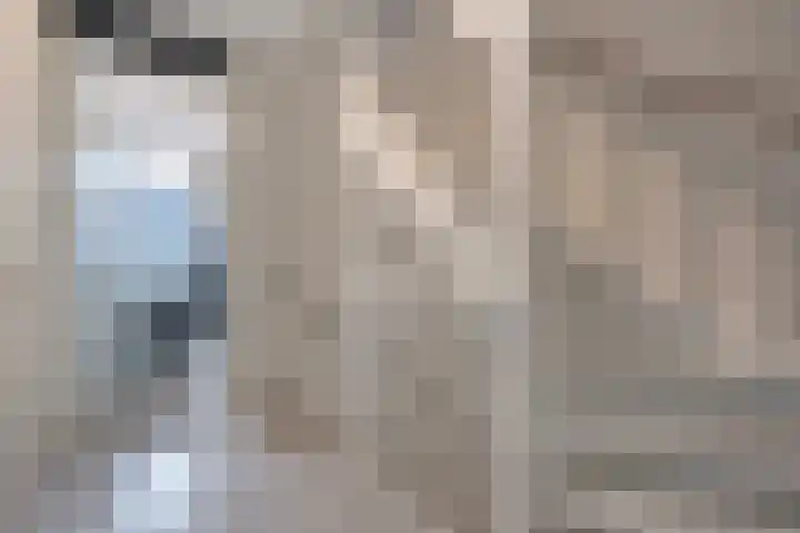 Hoornsemeer 29 Zoetermeer thumbnail 42