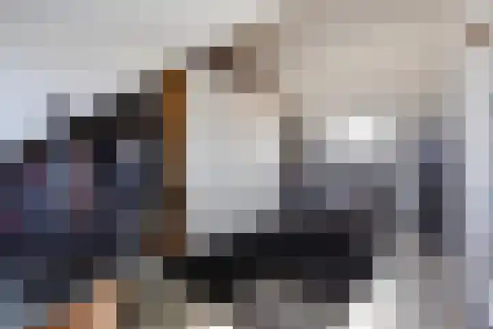 Hoornsemeer 29 Zoetermeer thumbnail 44