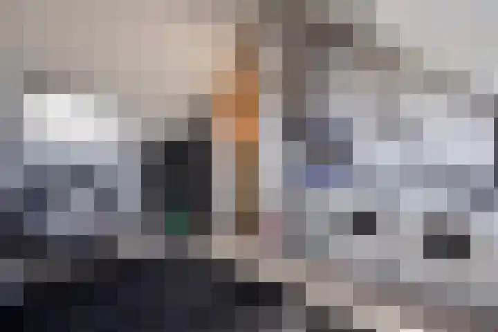 Hoornsemeer 29 Zoetermeer thumbnail 45
