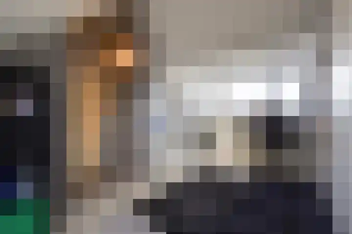 Hoornsemeer 29 Zoetermeer thumbnail 46