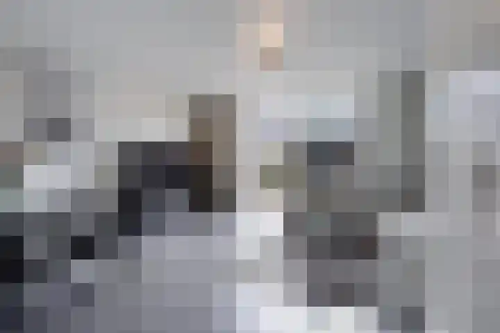 Hoornsemeer 29 Zoetermeer thumbnail 5