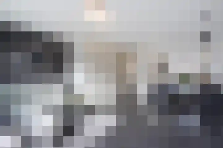 Hoornsemeer 29 Zoetermeer thumbnail 6
