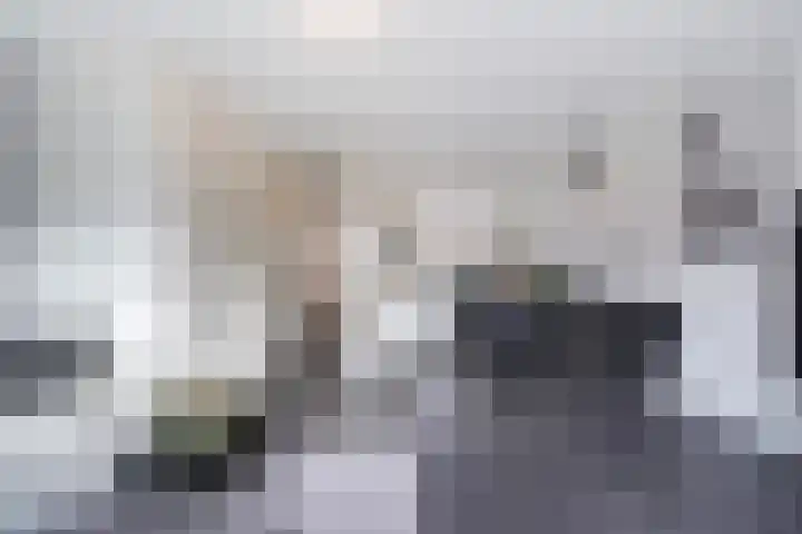 Hoornsemeer 29 Zoetermeer thumbnail 7