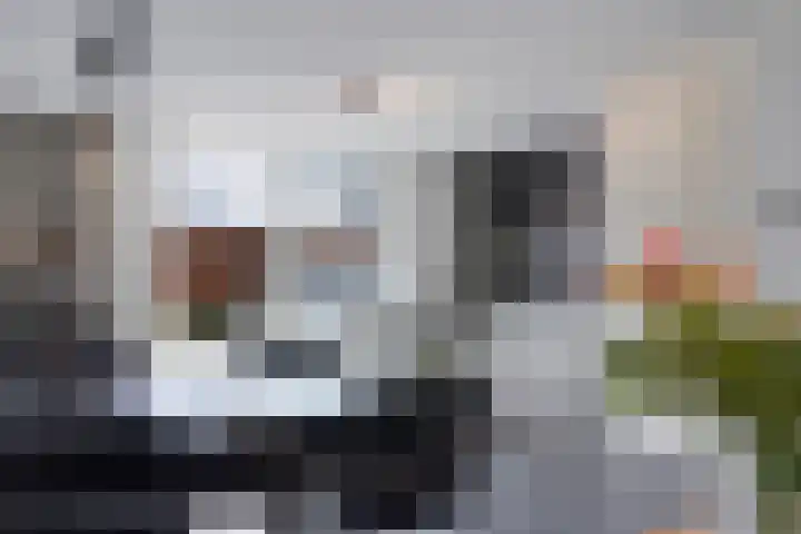 Hoornsemeer 29 Zoetermeer thumbnail 8