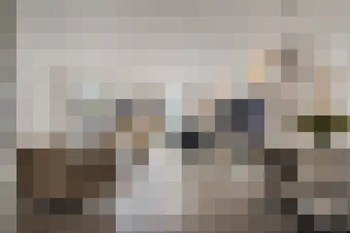 Hoornsemeer 37 Zoetermeer thumbnail 12