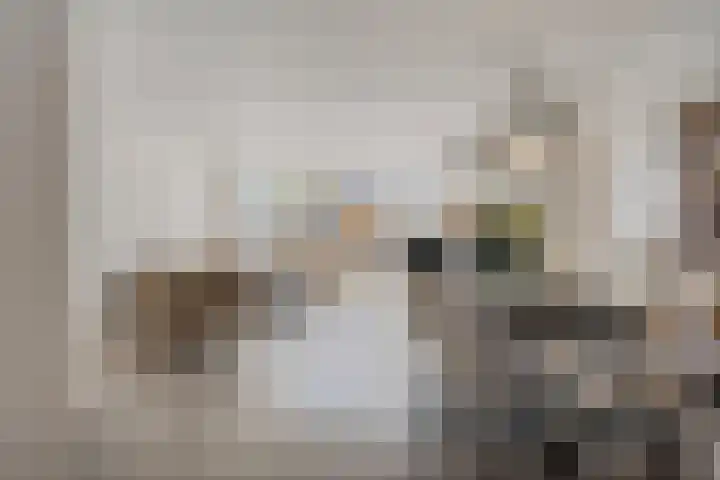 Hoornsemeer 37 Zoetermeer thumbnail 13