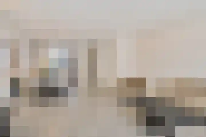Hoornsemeer 37 Zoetermeer thumbnail 17