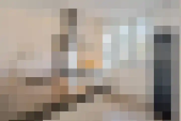 Hoornsemeer 37 Zoetermeer thumbnail 19