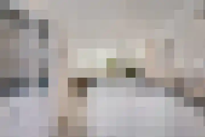 Hoornsemeer 37 Zoetermeer thumbnail 21