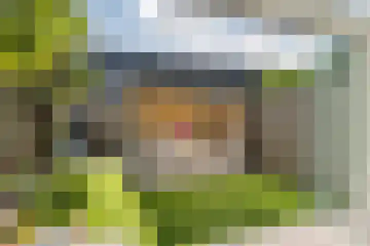 Hoornsemeer 37 Zoetermeer thumbnail 23