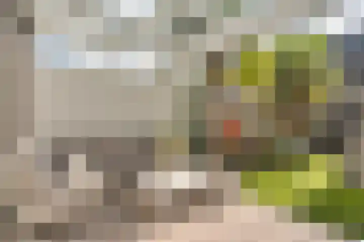 Hoornsemeer 37 Zoetermeer thumbnail 24