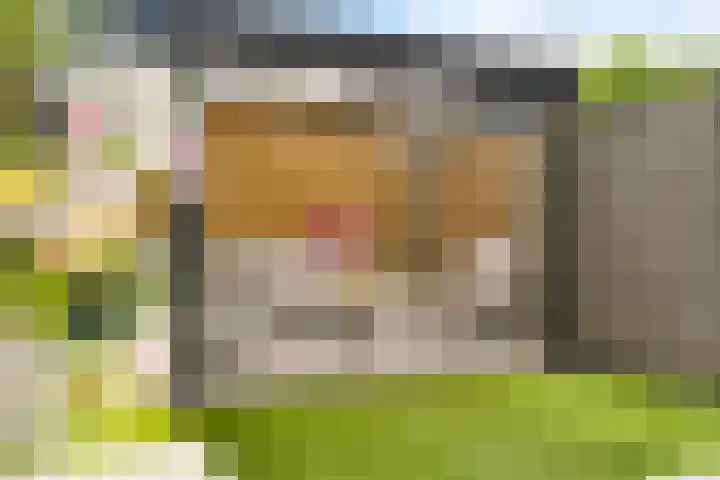 Hoornsemeer 37 Zoetermeer thumbnail 25