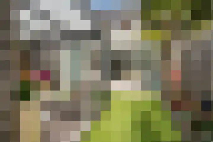 Hoornsemeer 37 Zoetermeer thumbnail 28