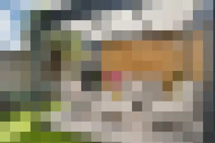 Hoornsemeer 37 Zoetermeer thumbnail 29