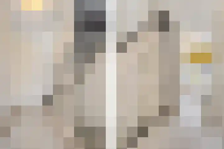 Hoornsemeer 37 Zoetermeer thumbnail 31