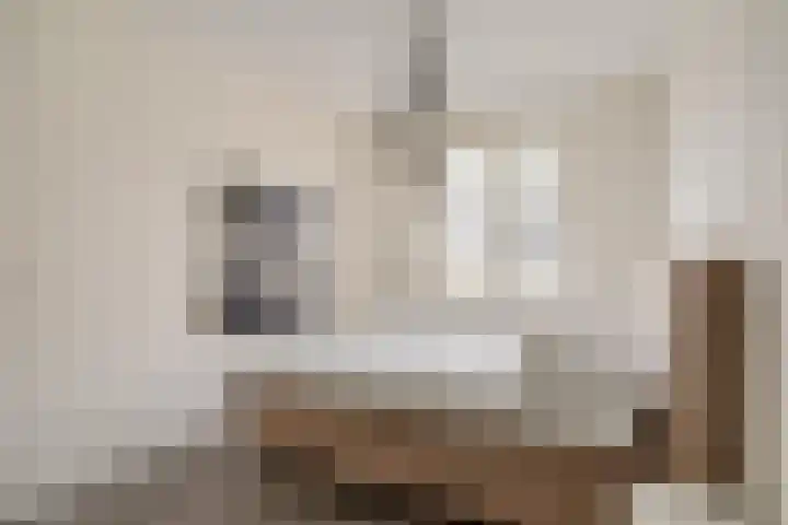 Hoornsemeer 37 Zoetermeer thumbnail 34