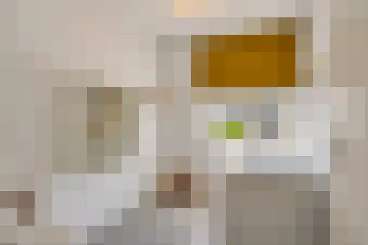 Hoornsemeer 37 Zoetermeer thumbnail 36