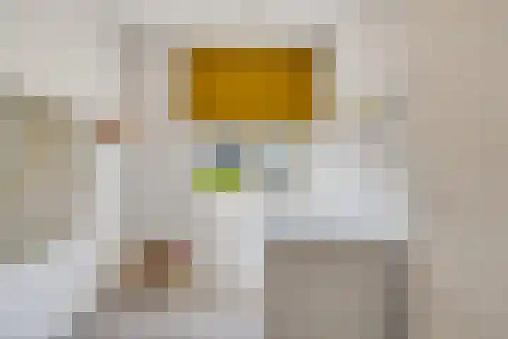 Hoornsemeer 37 Zoetermeer thumbnail 37