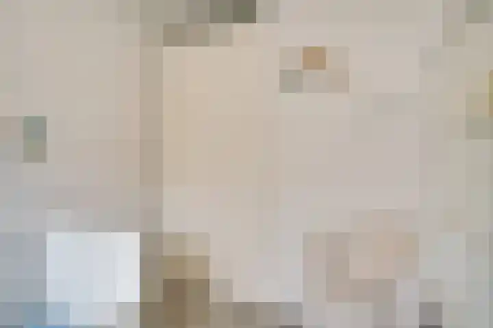 Hoornsemeer 37 Zoetermeer thumbnail 38