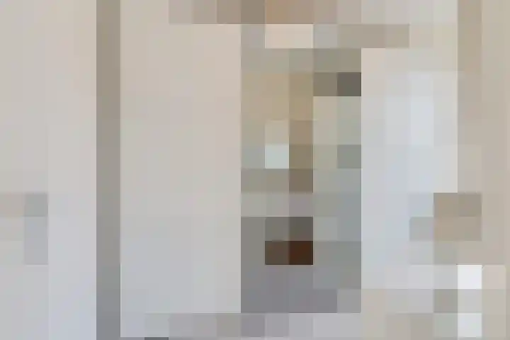 Hoornsemeer 37 Zoetermeer thumbnail 39