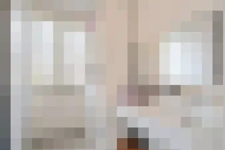 Hoornsemeer 37 Zoetermeer thumbnail 41