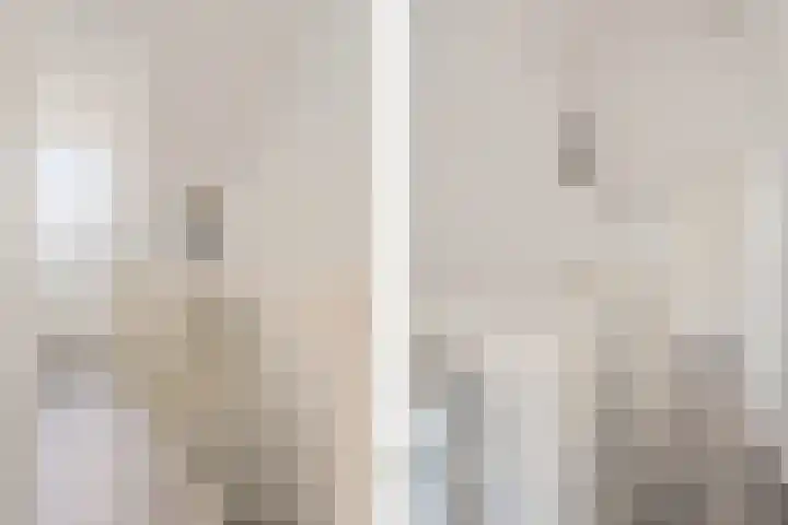 Hoornsemeer 37 Zoetermeer thumbnail 45