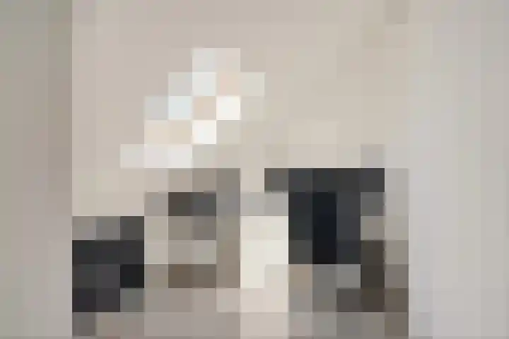 Hoornsemeer 37 Zoetermeer thumbnail 46