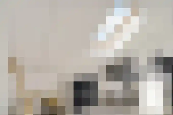 Hoornsemeer 37 Zoetermeer thumbnail 47