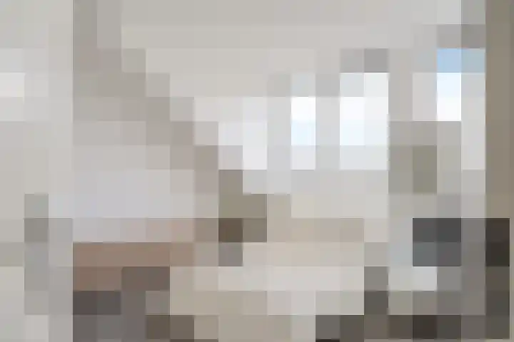 Hoornsemeer 37 Zoetermeer thumbnail 48