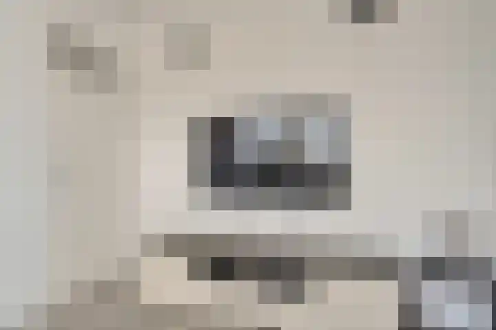 Hoornsemeer 37 Zoetermeer thumbnail 50