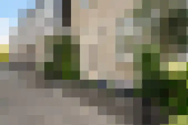 Hoornsemeer 37 Zoetermeer thumbnail 8