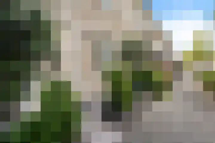 Hoornsemeer 37 Zoetermeer thumbnail 9