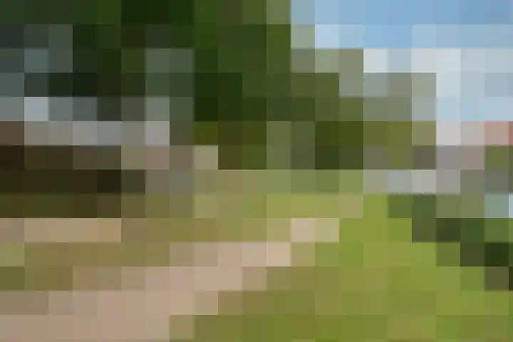 Hoornseschans 157 Nieuwegein thumbnail 41