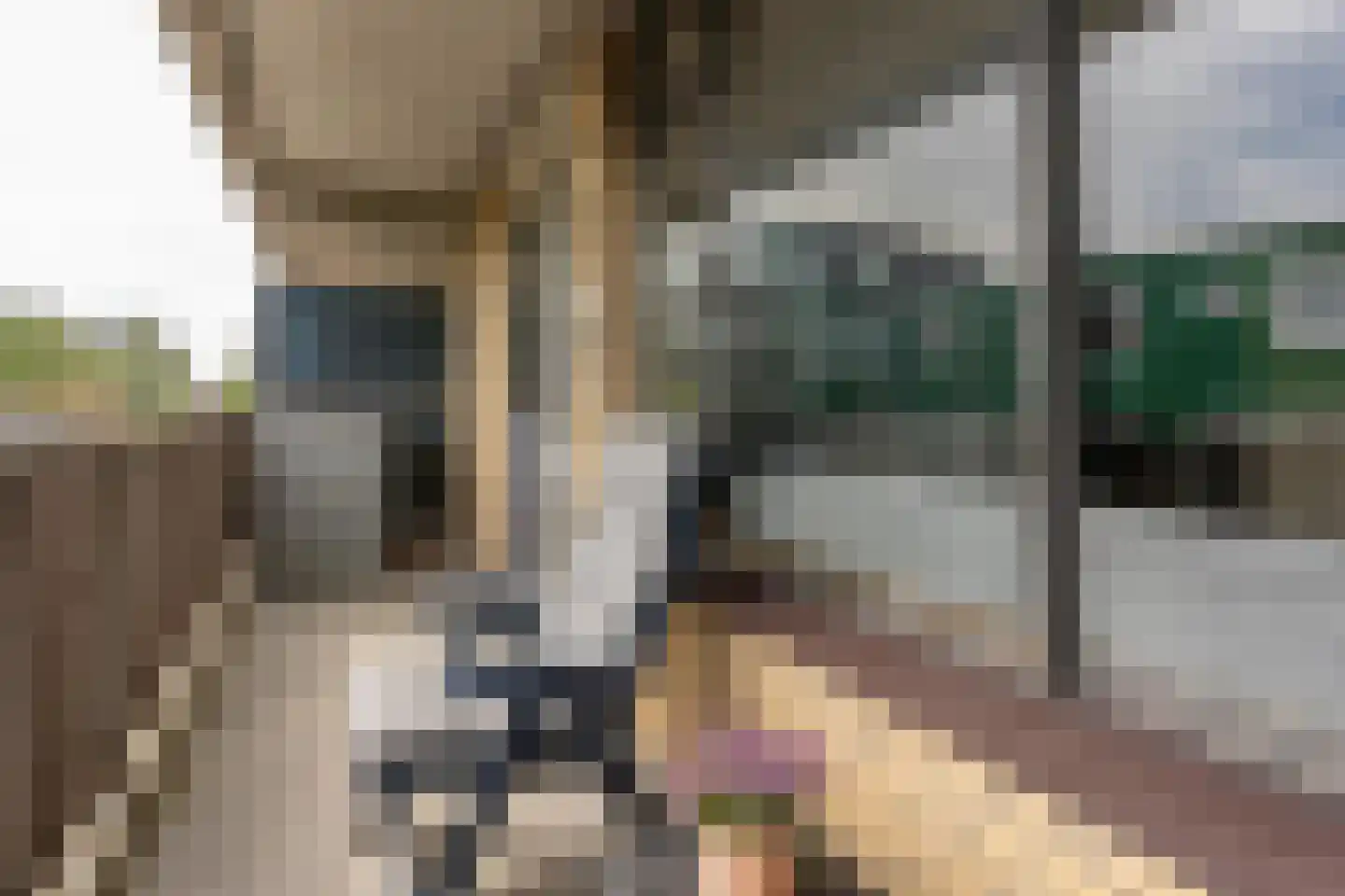 Hoornseschans 30 Nieuwegein thumbnail 28