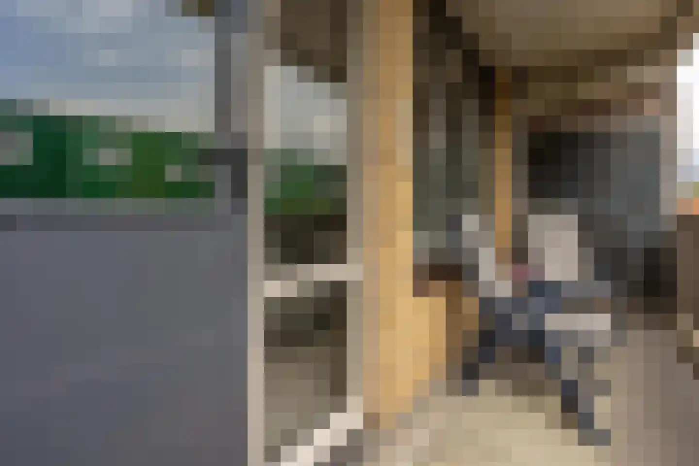 Hoornseschans 30 Nieuwegein thumbnail 29
