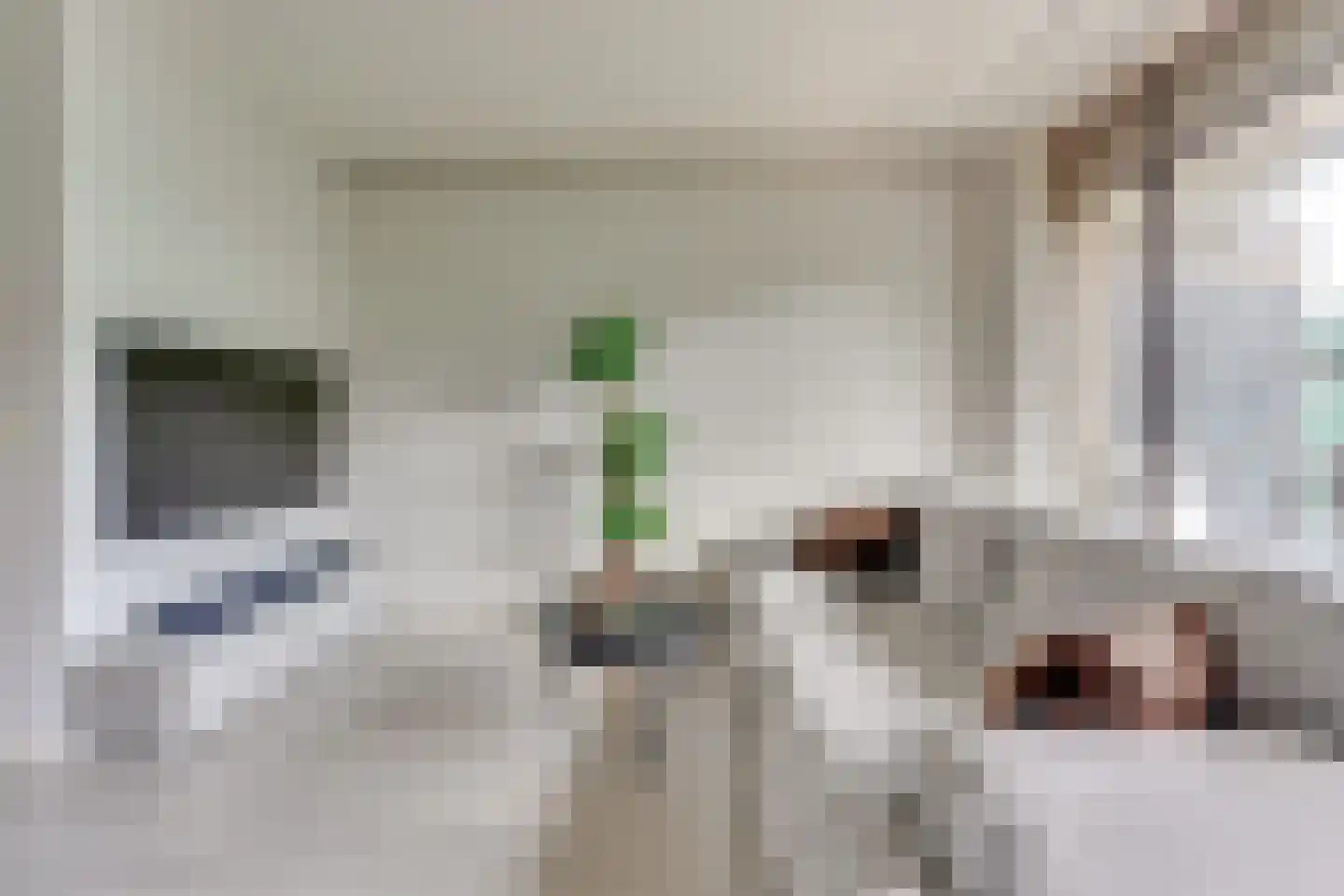 Hoornseschans 30 Nieuwegein thumbnail 8
