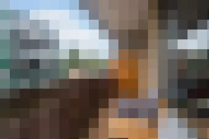 Hoornseschans 34 Nieuwegein thumbnail 19